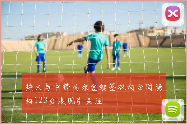 热火与中锋戈尔金续签双向合同场均123分表现引关注